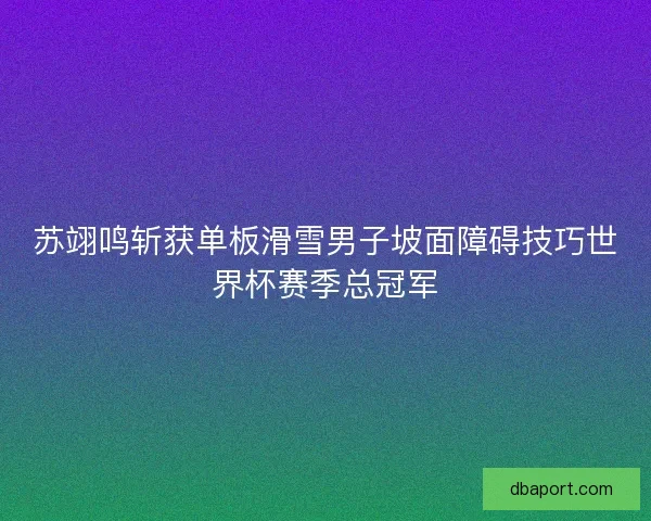 苏翊鸣斩获单板滑雪男子坡面障碍技巧世界杯赛季总冠军